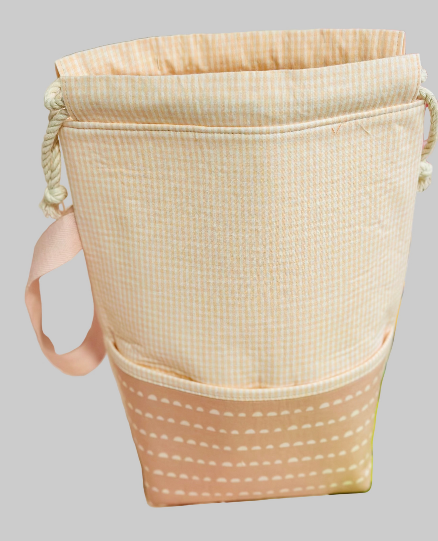 Large Project Bag peach gingham